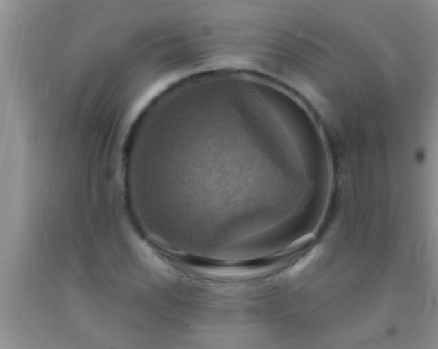 X0000092111118200709191322