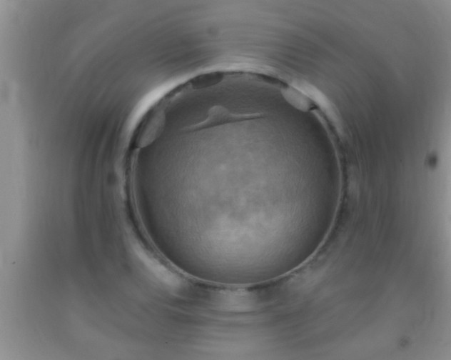 X0000092111120200709191322