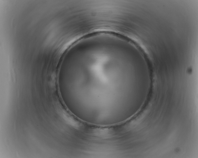 X0000092111121200709191322