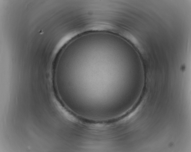 X0000092111122200709191322