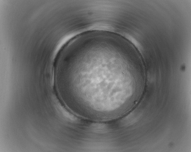 X0000092111123200709191322