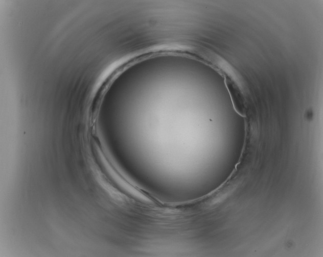 X0000092111124200709191322