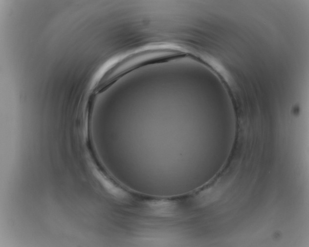 X0000092111127200709191322