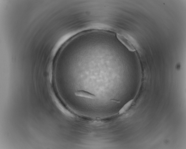 X0000092111128200709191322