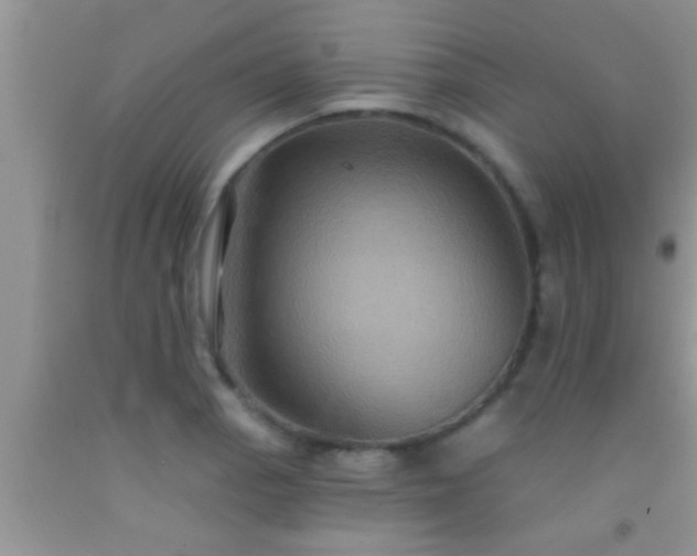 X0000092111129200709191322