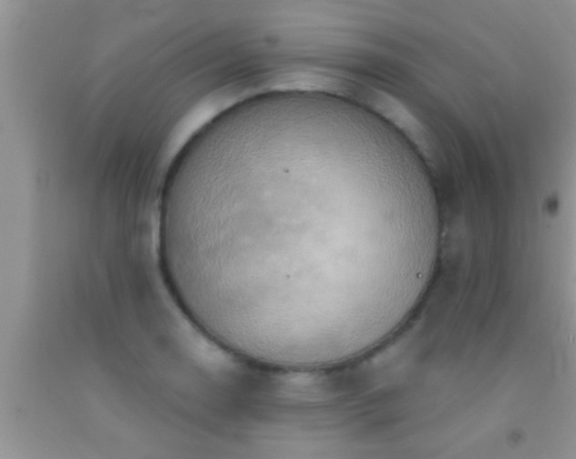 X0000092111130200709191322