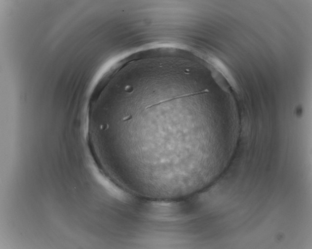 X0000092111132200709191322