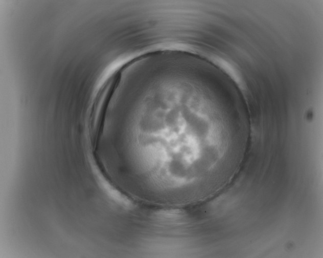 X0000092111133200709191322