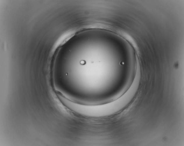 X0000092111138200709191322