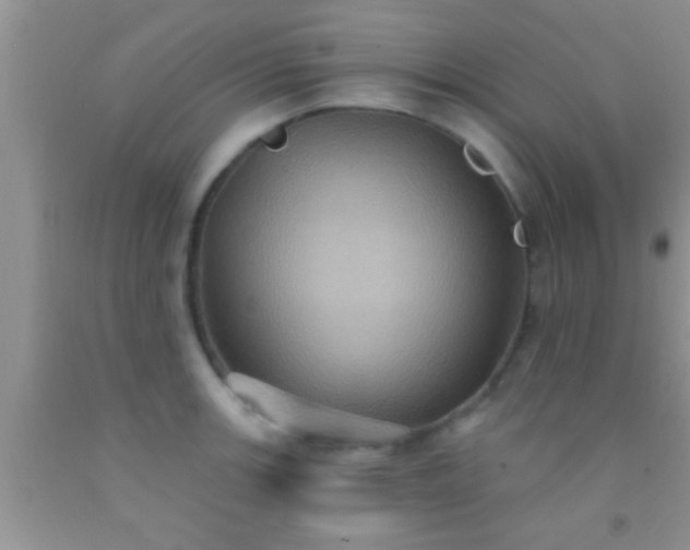 X0000092111139200709191322