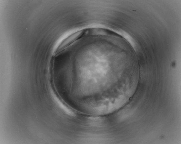 X0000092111142200709191322