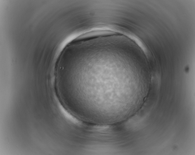 X0000092111143200709191322