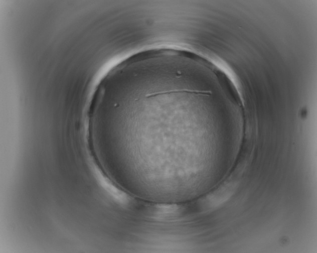 X0000092111144200709191322