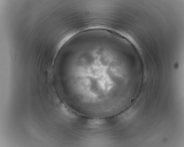 X0000092111145200709191322