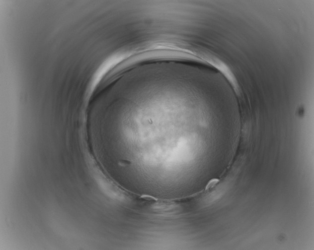 X0000092111146200709191322