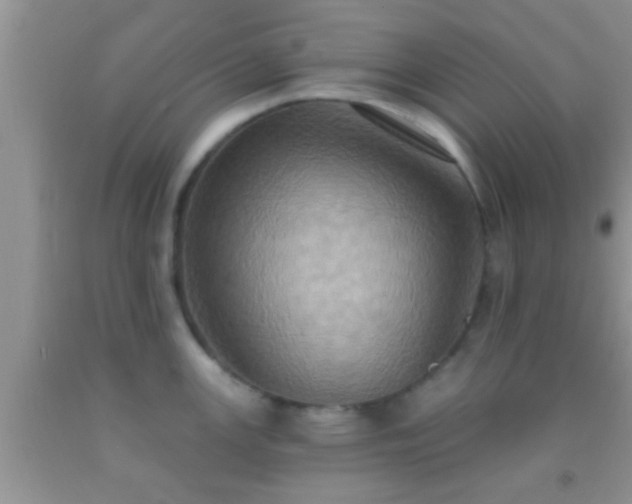 X0000092111147200709191322