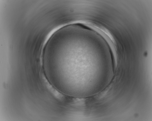 X0000092111148200709191322