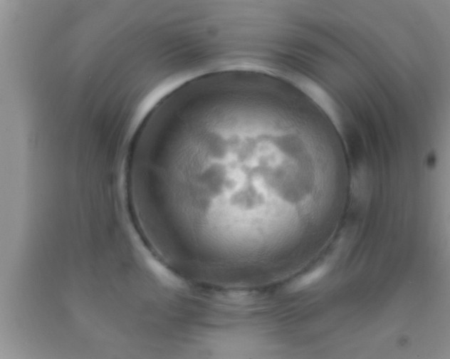 X0000092111149200709191322