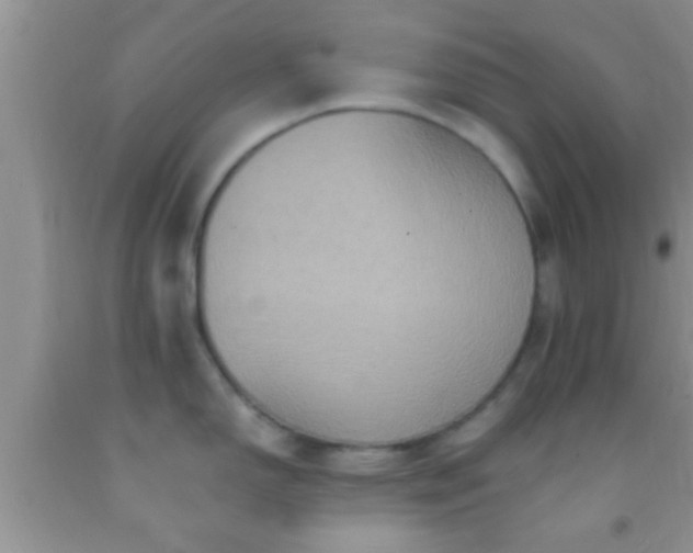 X0000092111150200709191323