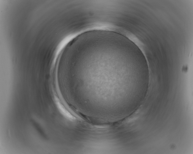 X0000092111152200709191323