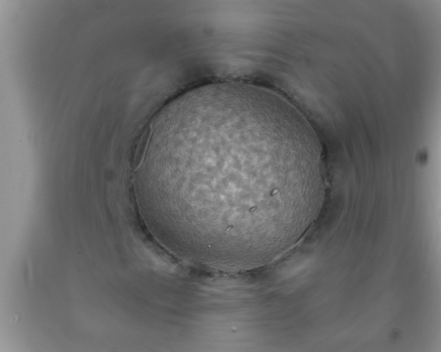 X0000092111153200709191322