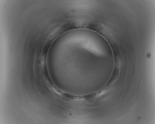 X0000092111154200709191322