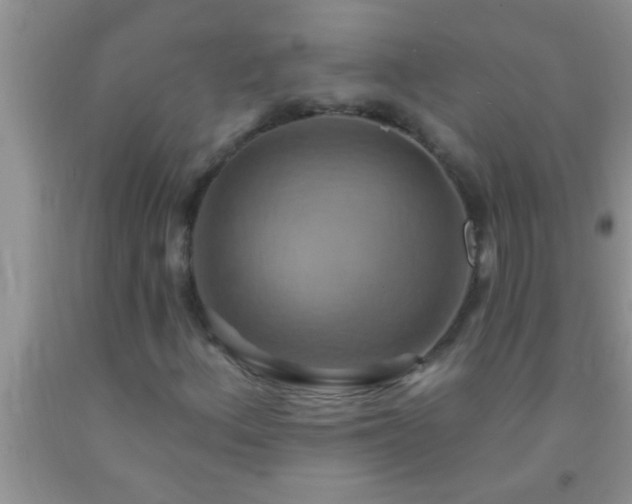 X0000092111156200709191322