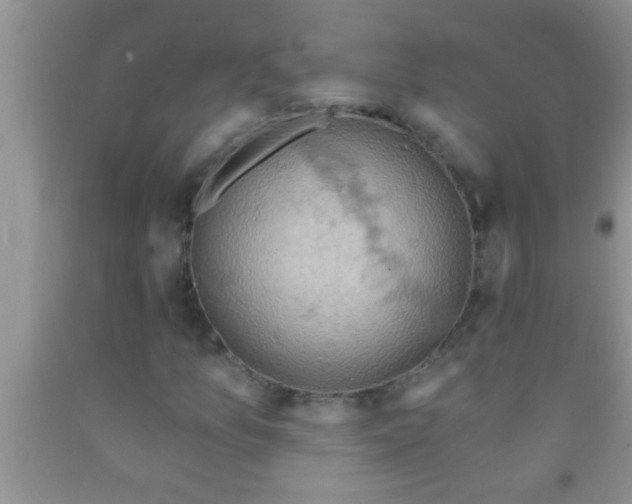 X0000092111157200709191322