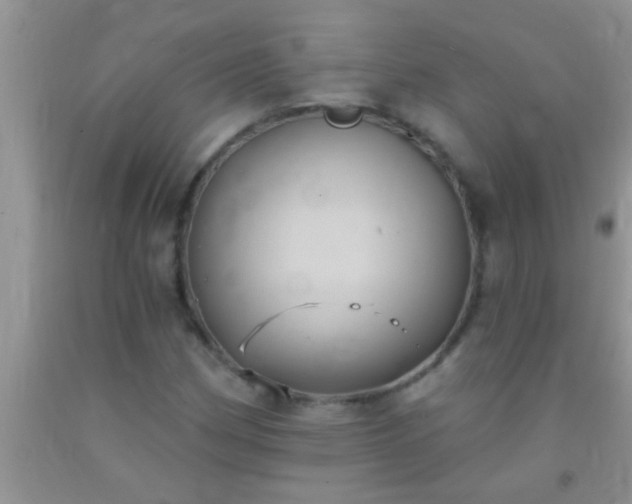 X0000092111162200709191322