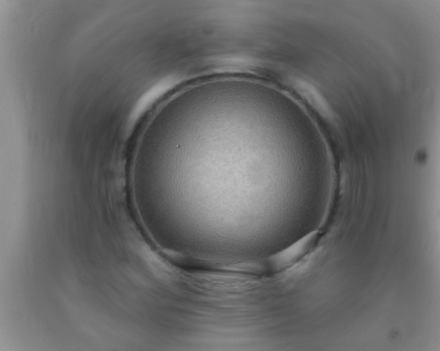 X0000092111164200709191322