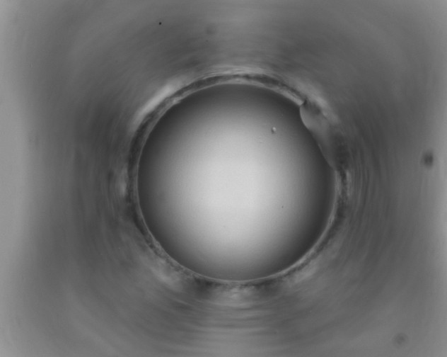 X0000092111165200709191322