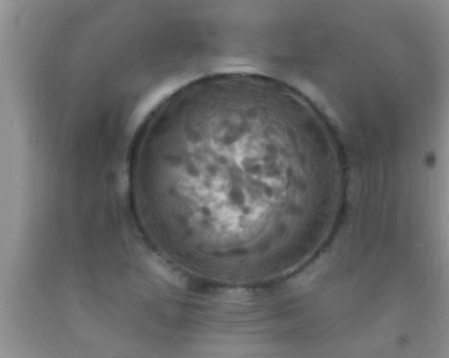 X0000092111167200709191322