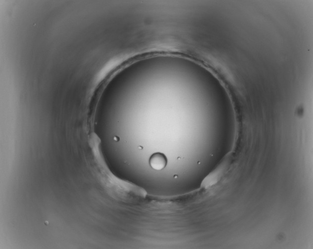 X0000092111168200709191322