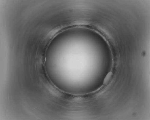 X0000092111169200709191322