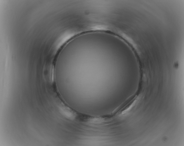 X0000092111171200709191322