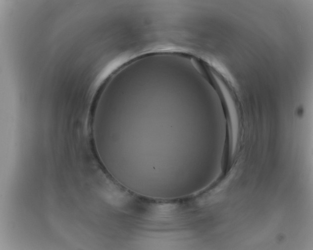 X0000092111173200709191322