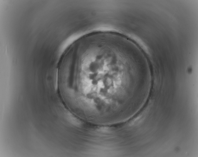 X0000092111175200709191322