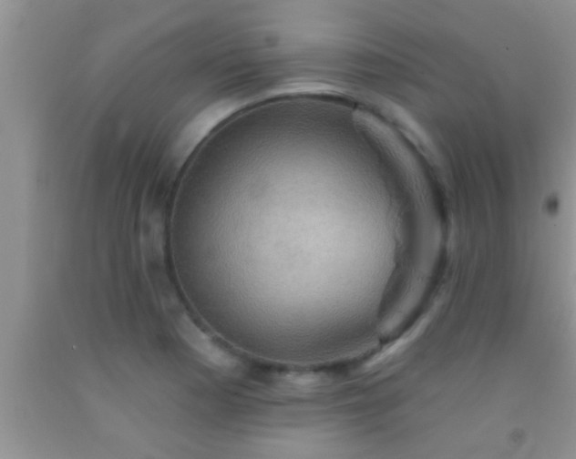 X0000092111177200709191322