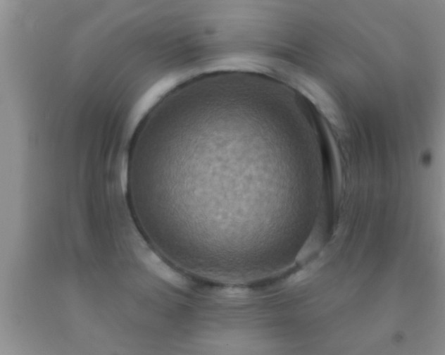 X0000092111180200709191322