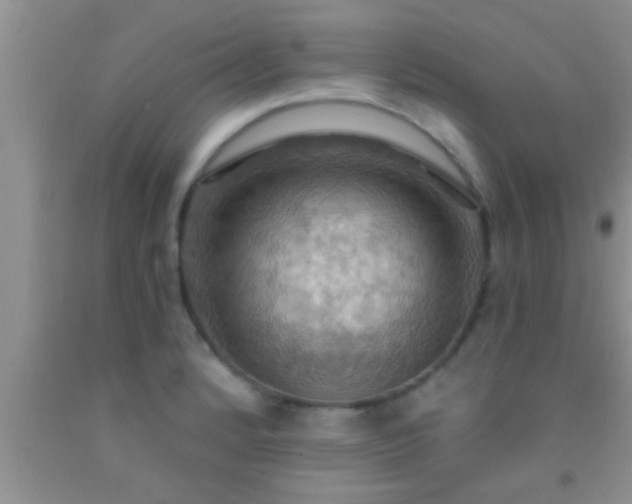 X0000092111184200709191322