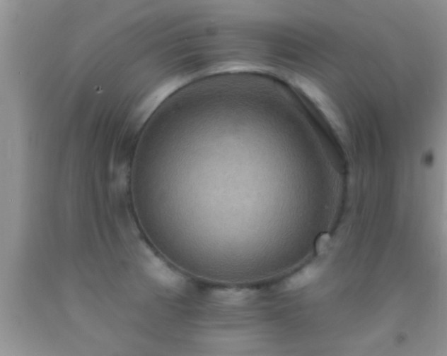 X0000092111185200709191322