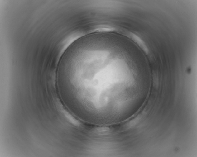 X0000092111186200709191322