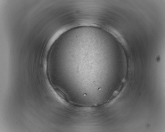 X0000092111188200709191321