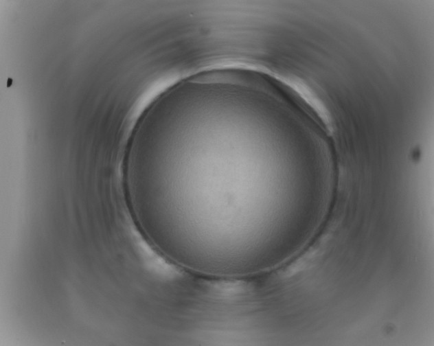 X0000092111189200709191321