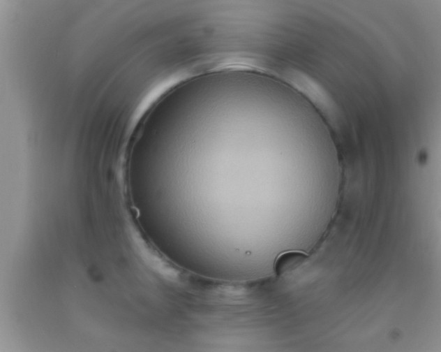 X0000092111190200709191321