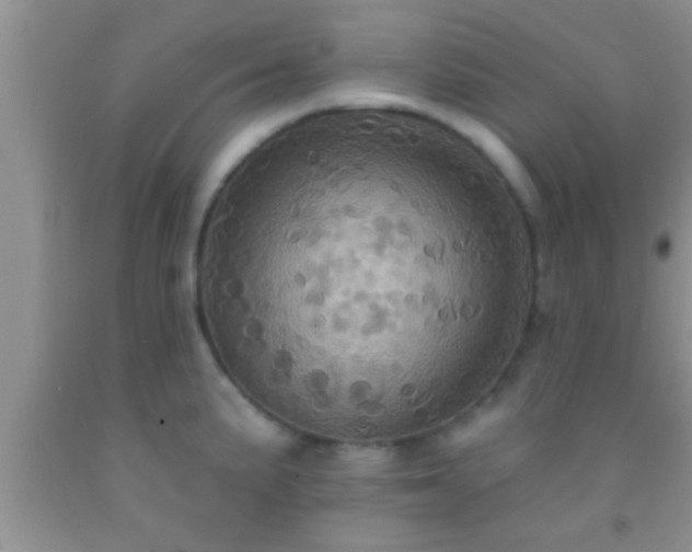 X0000092111191200709191321