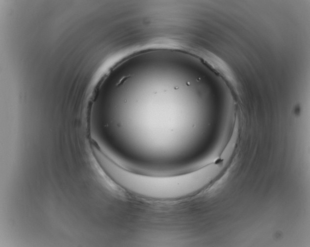 X0000092111192200709191321