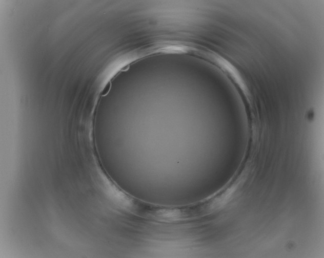 X0000092111194200709191321