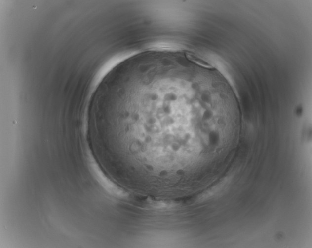 X0000092111195200709191321