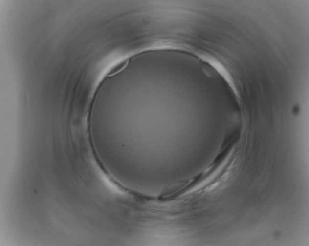 X0000092111197200709191321